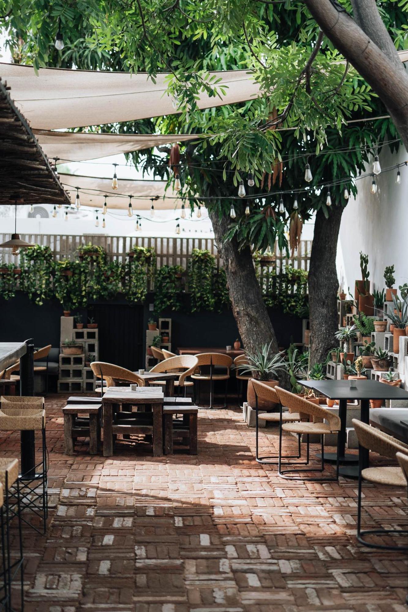 Drift San Jose Del Cabo, A Member Of Design Hotels Екстериор снимка